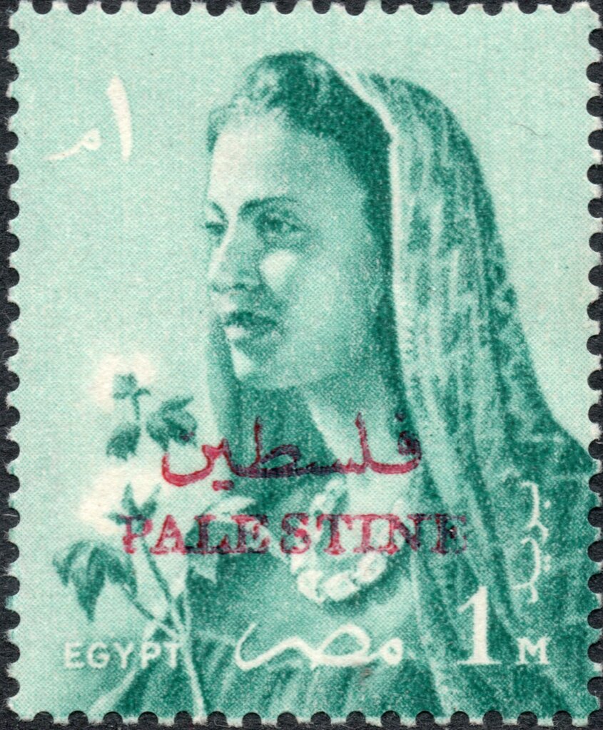 Woman and Cotton