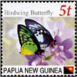 Birdwing Butterfly