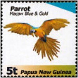 Parrot (Ara ararauna)