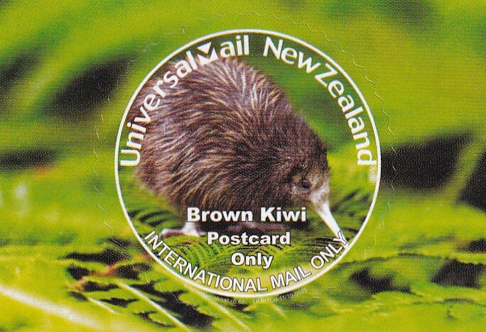 Brown Kiwi
