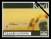 Stamp, Dog and Beach -Large Format, Personalized and Private Mail Stamps,  , Breweries, Buildings, Cameras, Photography