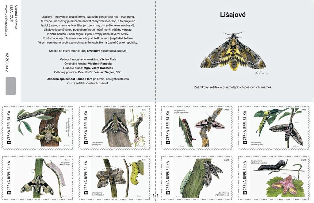 Hawk Moths. LiŠajovÉ