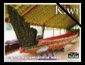 Ngatokimatawhaorua Waka