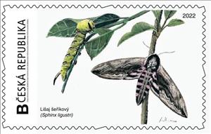 Stamp, Privet Hawk Moth (Sphinx ligustri) Lišaj šeříkový, Personalized and Private Mail Stamps,  , Animals (Fauna), Butterflies
