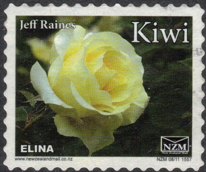 Rose, Elina - Small Format