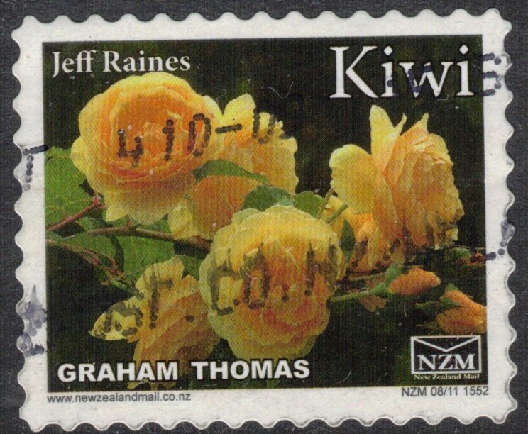 Rose, Graham Thomas - Small Format
