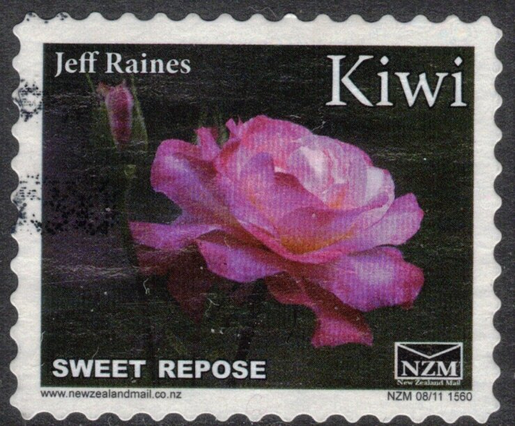 Rose, Sweet Repose - Small Format
