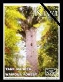 Tane Mahuta, Waipoua Forest