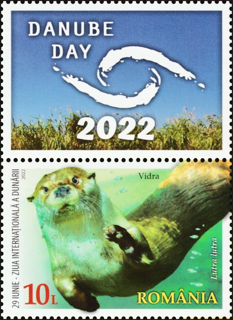 Eurasian Otter (Lutra lutra)