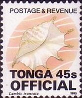 Stamp, Giant Spider Conch (Lambis truncata), Tonga,  , Animals (Fauna), Molluscs, Sea Life, Shells