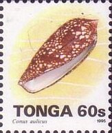 Stamp, Princely Cone (Conus aulicus), Tonga,  , Animals (Fauna), Molluscs, Sea Life, Shells
