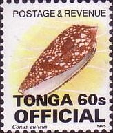 Stamp, Princely Cone (Conus aulicus), Tonga,  , Animals (Fauna), Molluscs, Sea Life, Shells
