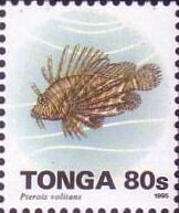 Red Lionfish (Pterois volitans)
