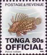 Red Lionfish (Pterois volitans)