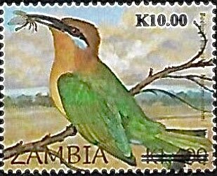 Böhm's Bee-eater (Merops boehmi) Surcharged