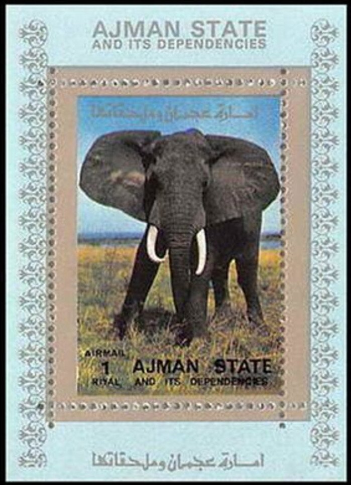 African Elephant (Loxodonta africana)