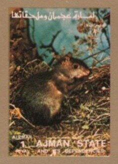 Stamp, Agouti (Dasyprocta sp.), Ajman,  , Animals (Fauna), Mammals