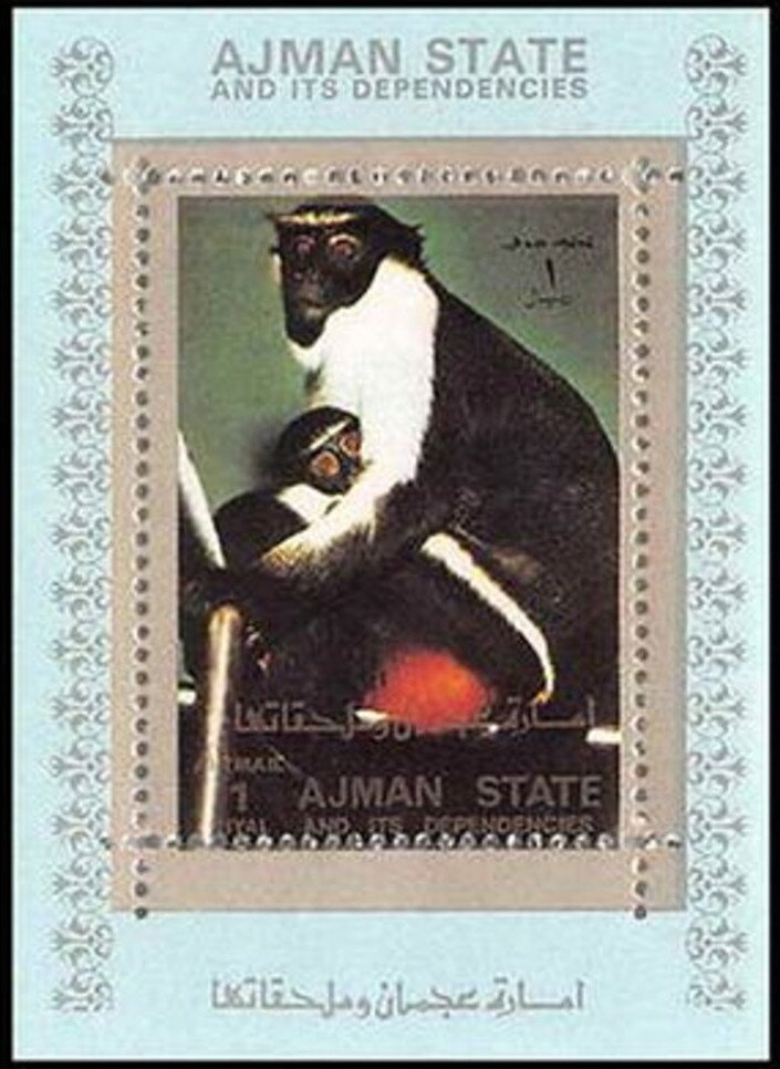Diana Monkey (Cercopithecus diana)