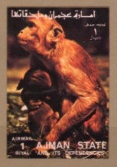 Monkey