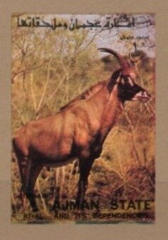 Roan Antelope (Hippotragus equinus)