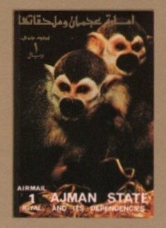 Squirrel Monkey (Saimiri sciurus)