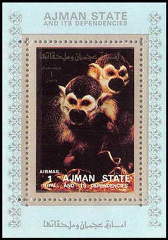 Squirrel Monkey (Saimiri sciurus)