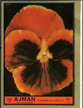 Stamp, Violet, Ajman,  , Flowers, Plants (Flora)