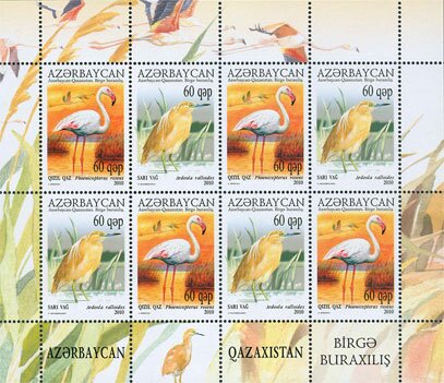 Ecology of Caspian Sea - Birds