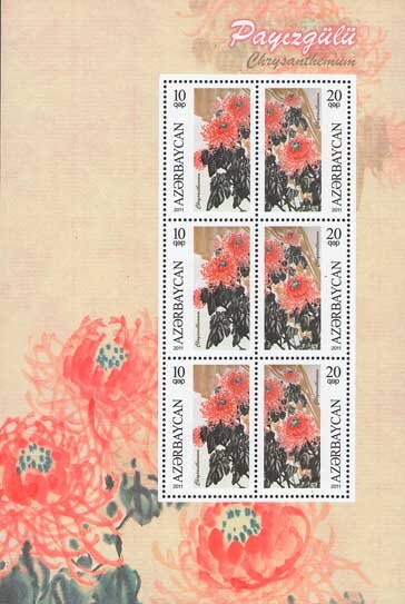 Flowers - Chrysanthemums