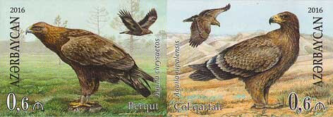 Rare Birds - Eagles