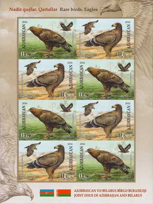 Rare Birds - Eagles