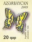 Southern Swallowtail (Papilio alexanor orientalis)