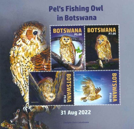 Pel's fishing owl (Scotopelia peli)