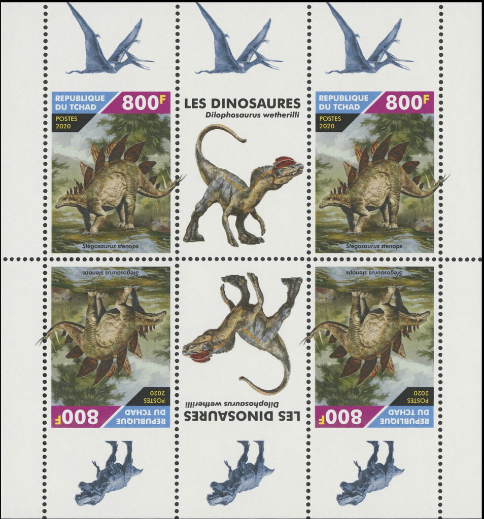 Stegosaurus stenops