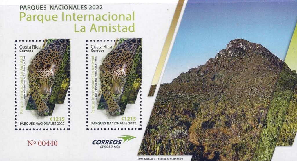 La Amistad International Park - Jaguar (Panthera onca)