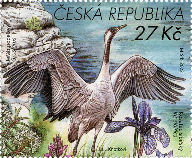 Common Crane (Grus grus) & Siberian Iris (Iris sibirica)