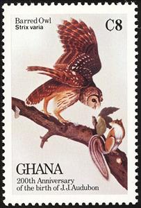 Stamp, Barred Owl (Strix varia), Ghana,  , Birds, Birds of Prey, Owls, Animals (Fauna)