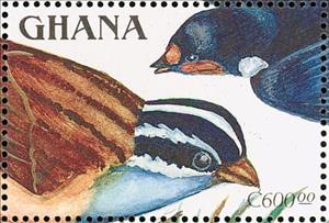 Stamp, Cinnamon-breasted Bunting (Emberiza tahapsi), Barn Swallow (, Ghana,  , Birds, Animals (Fauna)