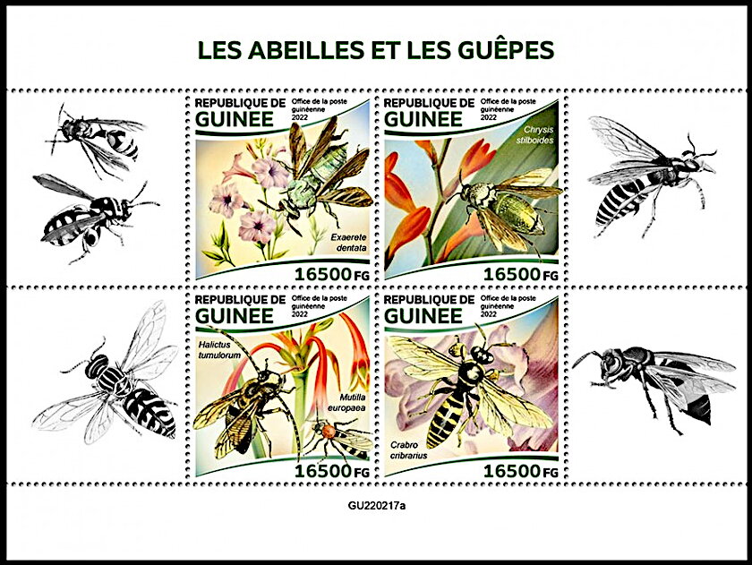 Bees and Wasps