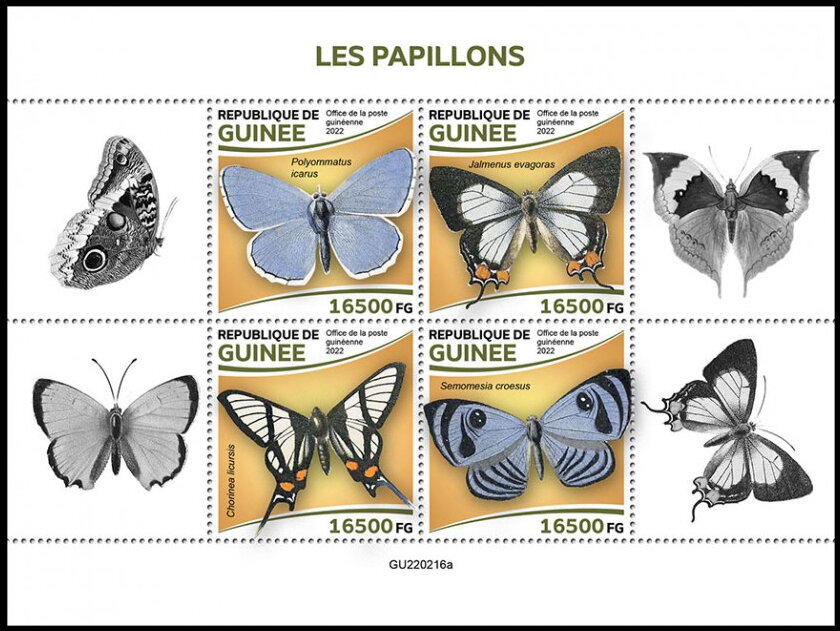 Butterflies