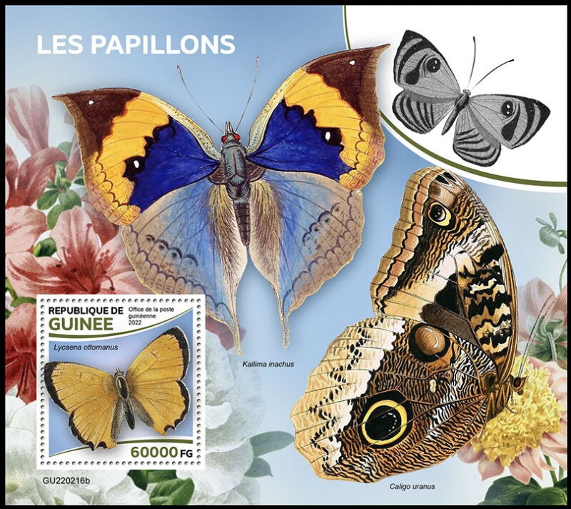 Butterflies