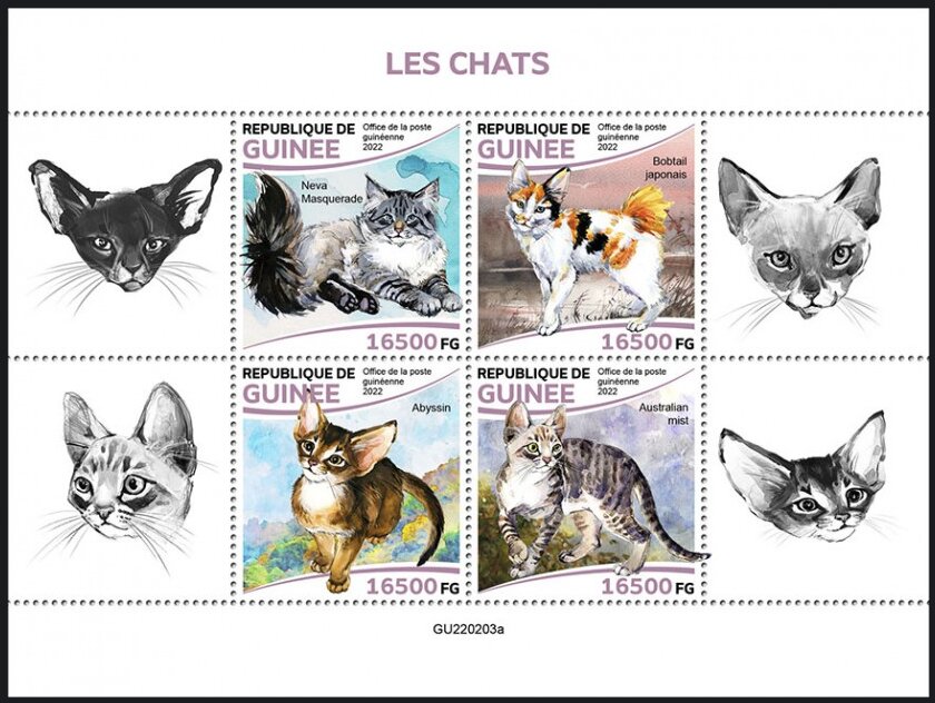 Cats