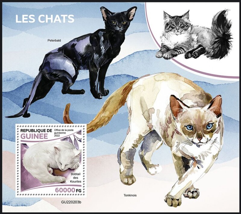 Cats