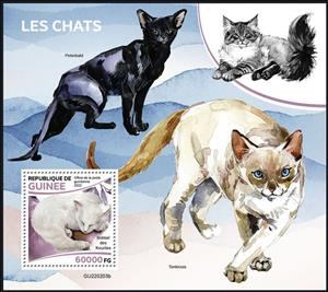 Souvenir Sheet, Cats, Guinea,  , Animals (Fauna), Cats, Mammals