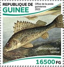 Stamp, Chub (Gymnocephalus cernua), Guinea,  , Animals (Fauna), Fishes