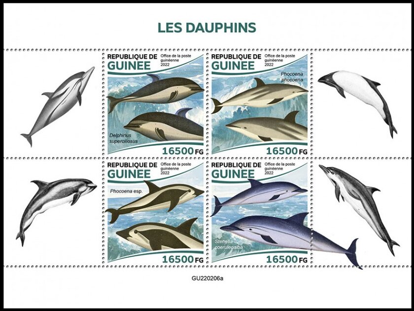 Dolphins