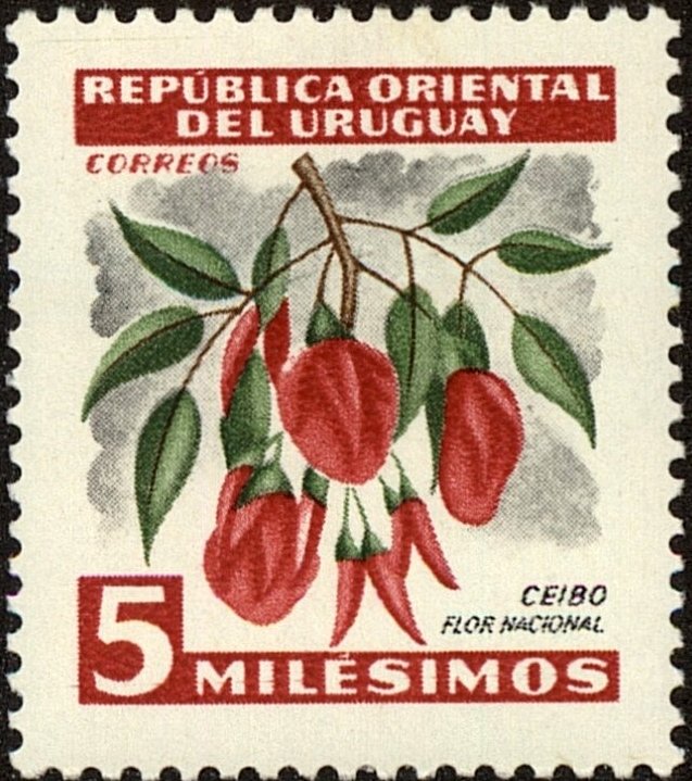 Ceibo-the National flower
