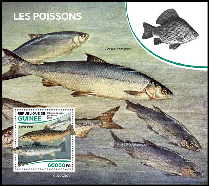 Fishes