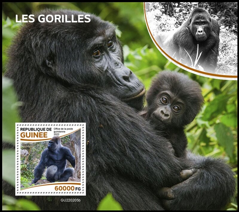 Gorillas