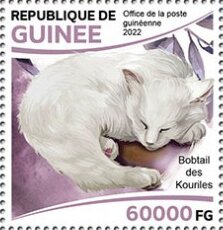 Kurilian Bobtail